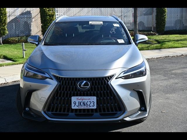 2024 Lexus NX 350h Premium