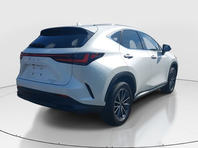 2024 Lexus NX 350h Premium