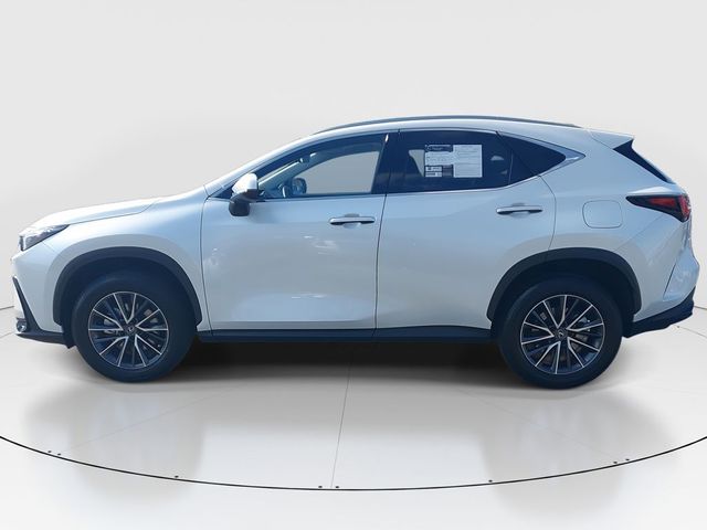 2024 Lexus NX 350h Premium