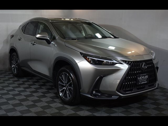 2024 Lexus NX 350h Premium