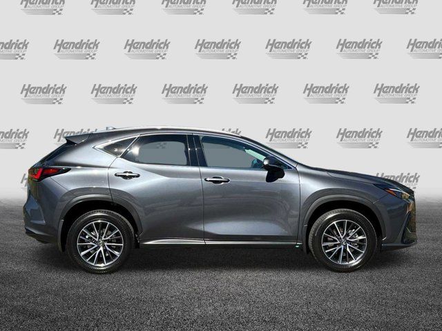 2024 Lexus NX 350h Premium