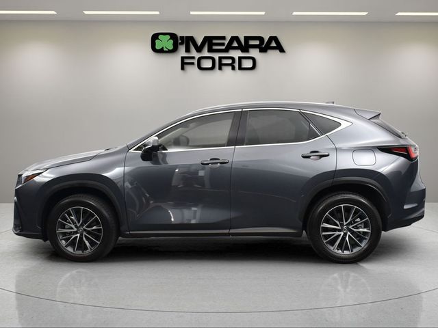 2024 Lexus NX 350h Premium