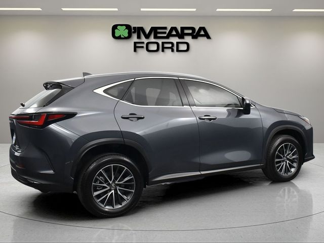 2024 Lexus NX 350h Premium