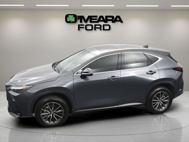 2024 Lexus NX 350h Premium