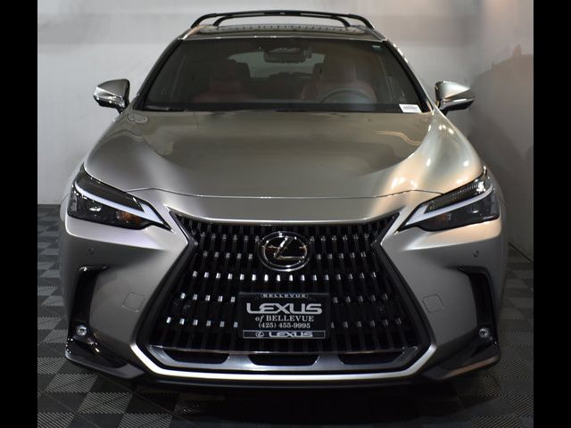 2024 Lexus NX 350h Premium