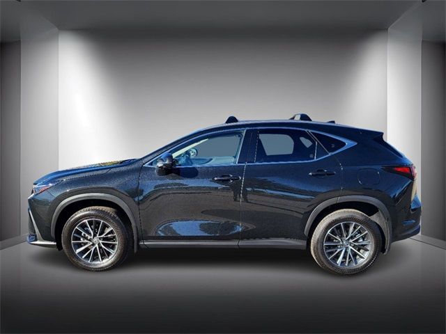 2024 Lexus NX 350h Premium