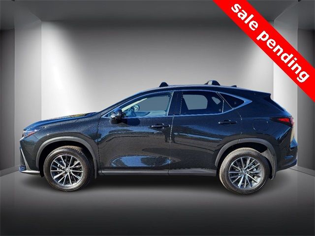 2024 Lexus NX 350h Premium