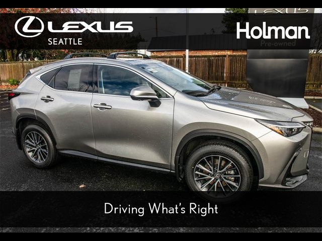 2024 Lexus NX 350h Premium