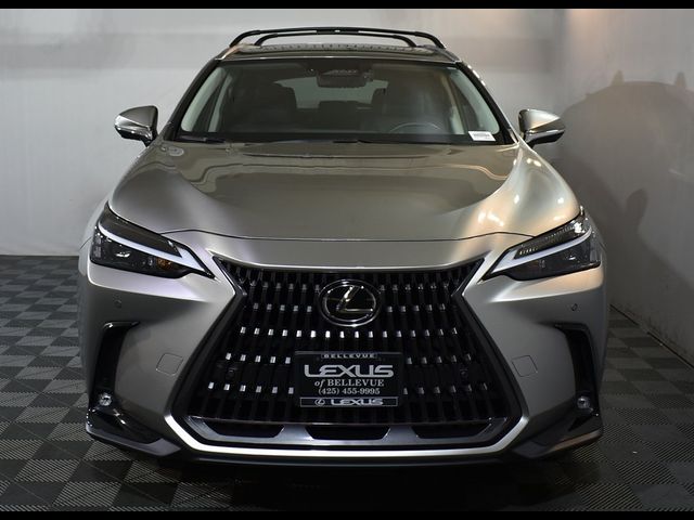 2024 Lexus NX 350h Premium