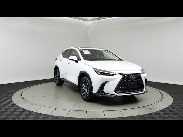 2024 Lexus NX 350h Premium