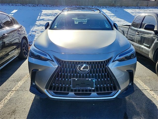 2024 Lexus NX 350h Premium