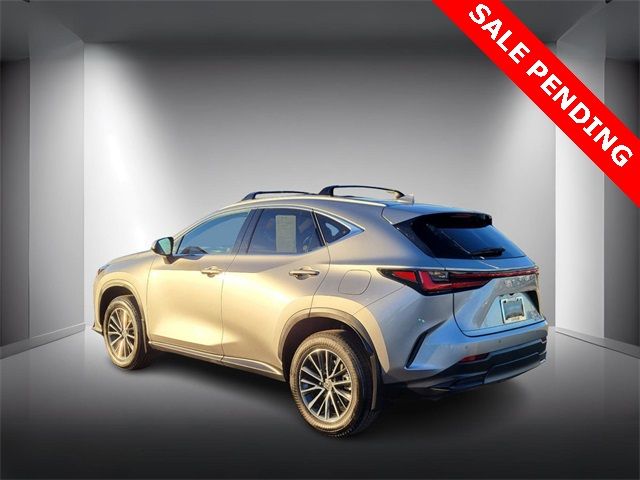 2024 Lexus NX 350h Premium