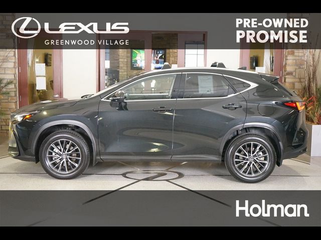 2024 Lexus NX 350h Premium