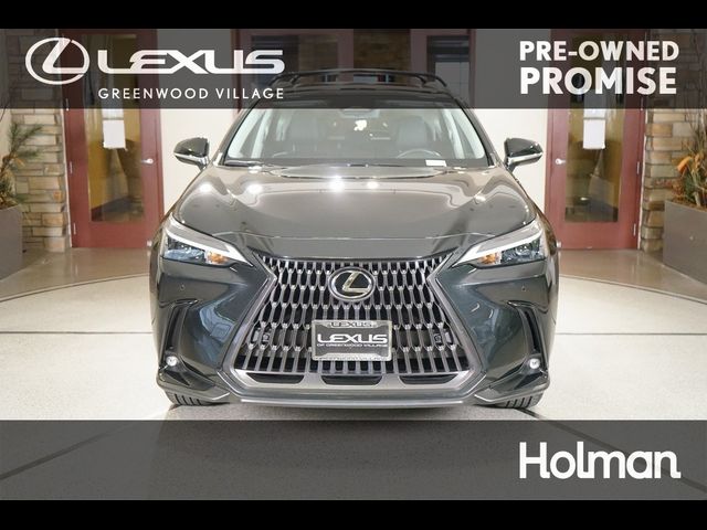 2024 Lexus NX 350h Premium