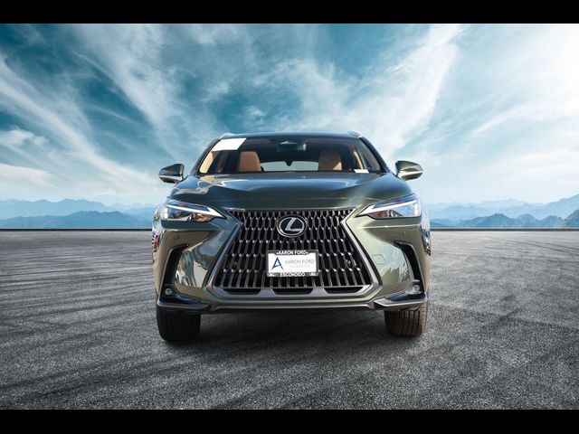 2024 Lexus NX 350h Premium