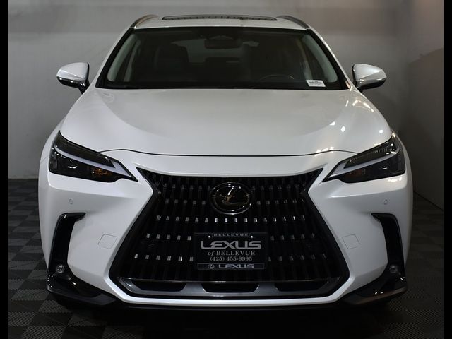 2024 Lexus NX 350h Premium