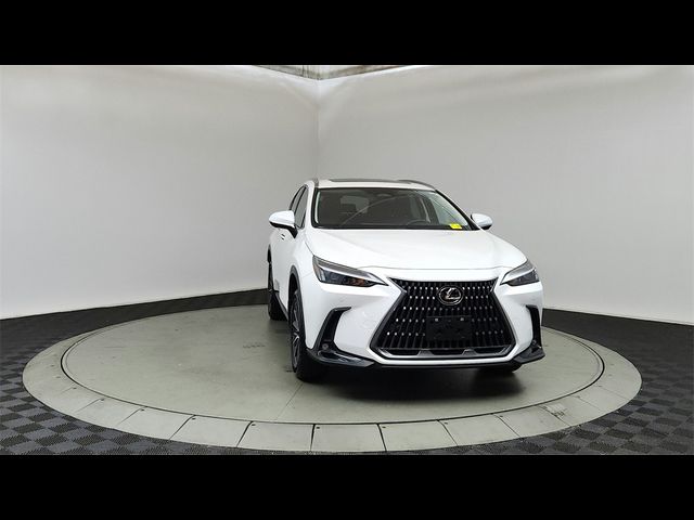 2024 Lexus NX 350h Premium