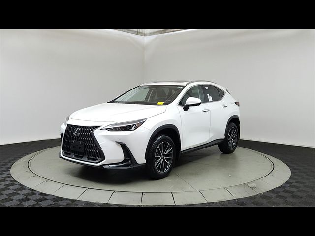 2024 Lexus NX 350h Premium