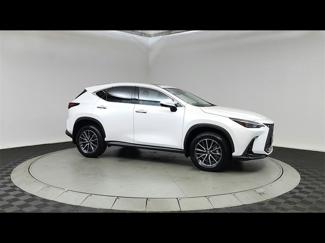 2024 Lexus NX 350h Premium