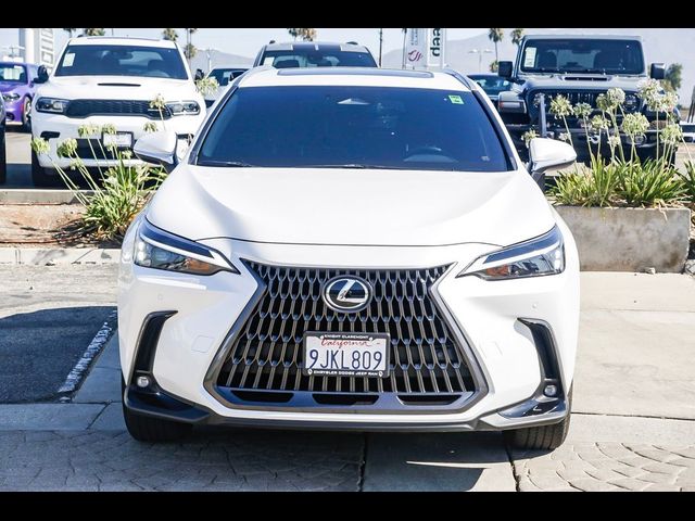 2024 Lexus NX 350h Premium