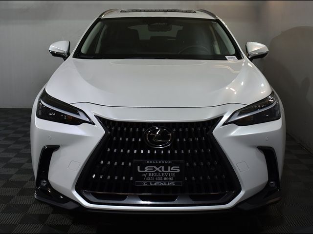 2024 Lexus NX 350h Premium