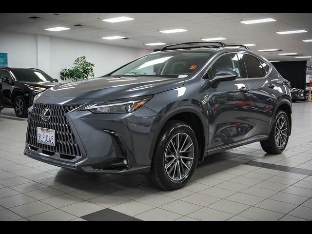 2024 Lexus NX 350h Premium