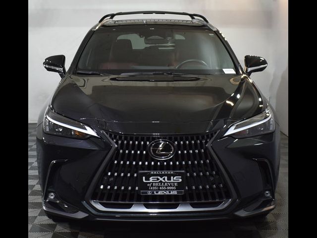 2024 Lexus NX 350h Premium