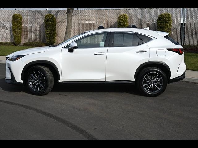 2024 Lexus NX 350h Premium