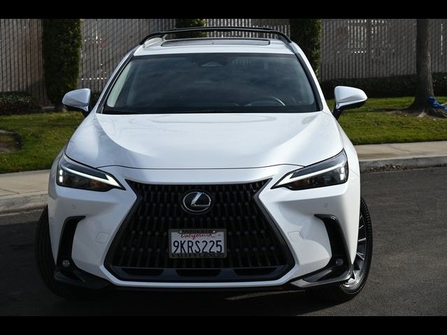 2024 Lexus NX 350h Premium