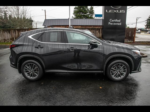 2024 Lexus NX 350h Premium