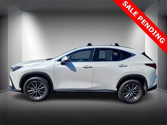 2024 Lexus NX 350h Premium