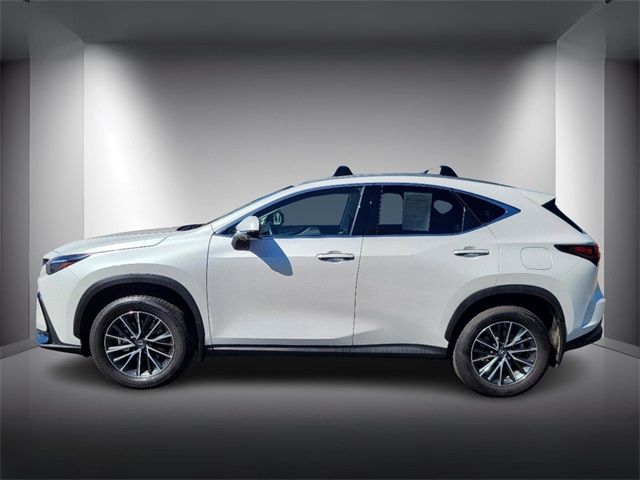 2024 Lexus NX 350h Premium