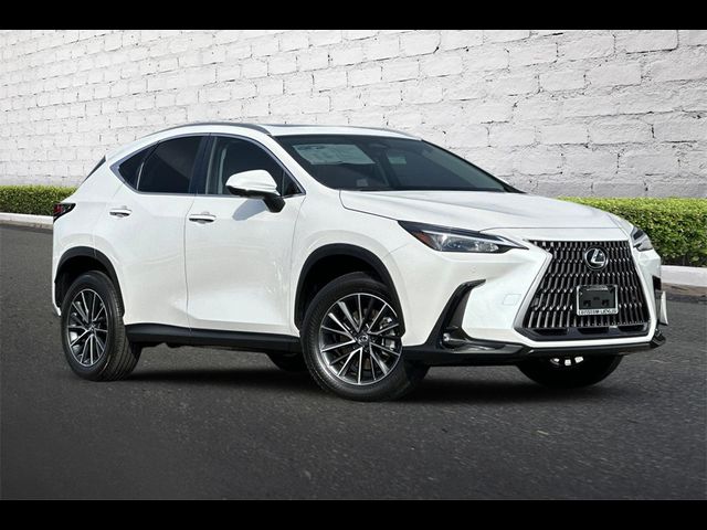 2024 Lexus NX 350h Premium