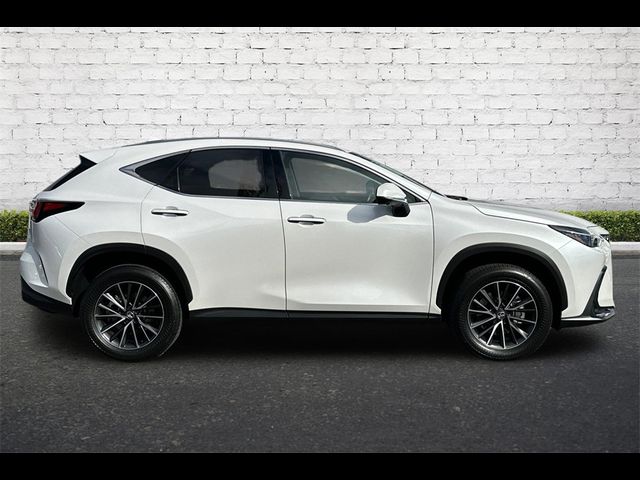 2024 Lexus NX 350h Premium