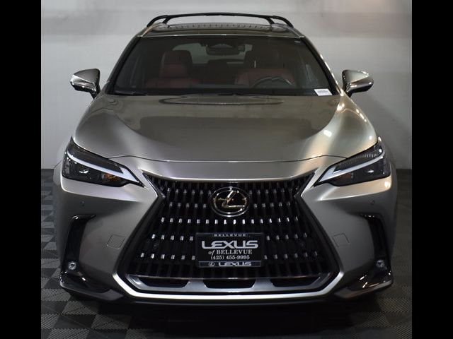 2024 Lexus NX 350h Premium