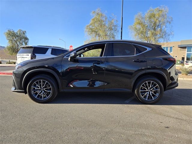 2024 Lexus NX 350h Premium