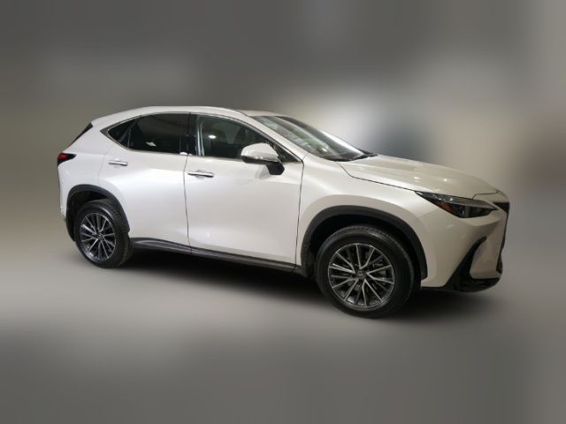 2024 Lexus NX 350h Premium