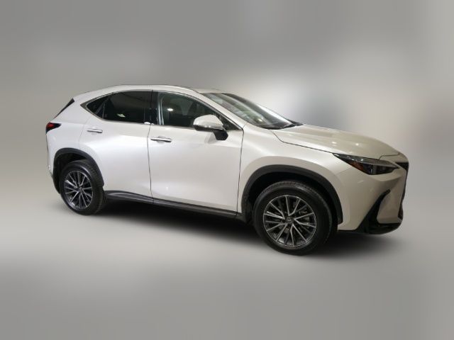 2024 Lexus NX 350h Premium