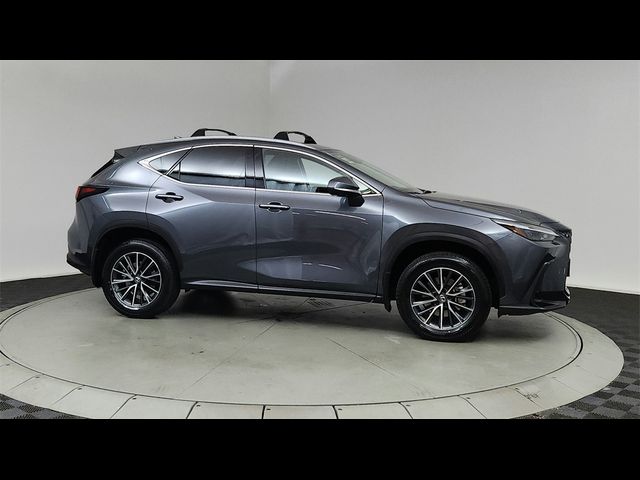 2024 Lexus NX 350h Premium