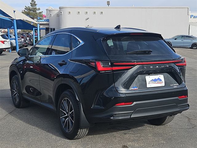 2024 Lexus NX 350h Premium