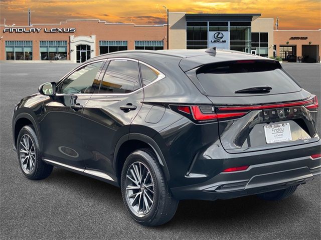 2024 Lexus NX 350h Premium