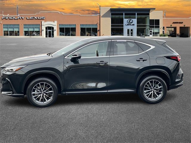 2024 Lexus NX 350h Premium