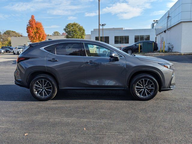 2024 Lexus NX 350h Premium