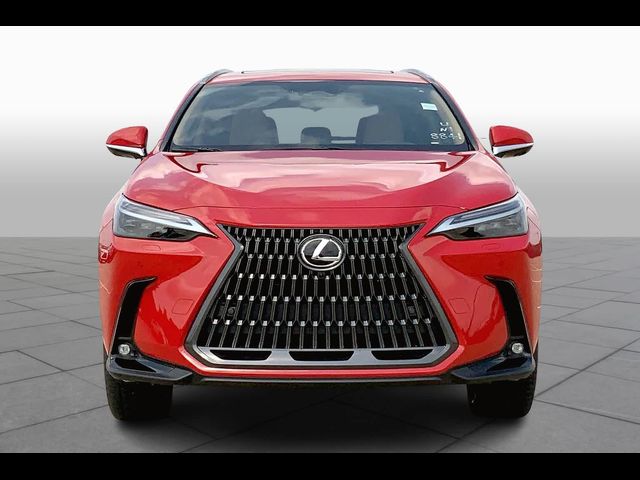 2024 Lexus NX 450h+ Luxury