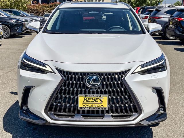 2024 Lexus NX 450h+ Luxury