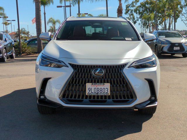 2024 Lexus NX 450h+ Luxury