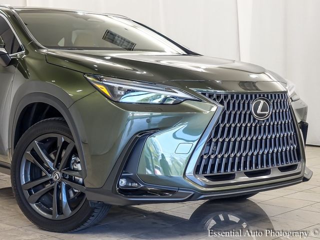 2024 Lexus NX 450h+ Luxury