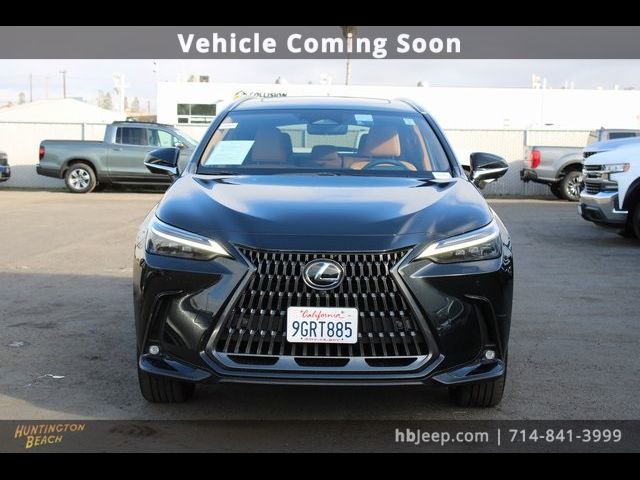 2024 Lexus NX 450h+ Luxury