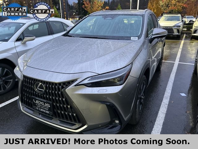 2024 Lexus NX 450h+ Luxury