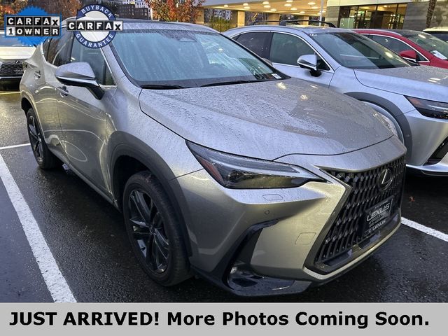 2024 Lexus NX 450h+ Luxury